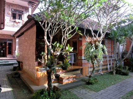 ubud (01)